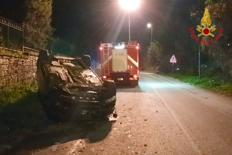 Incidente stradale ad Avellino: auto ribaltata dopo l’impatto con un cinghiale