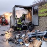 WhatsApp Image 2024-12-10 at 13.39.06