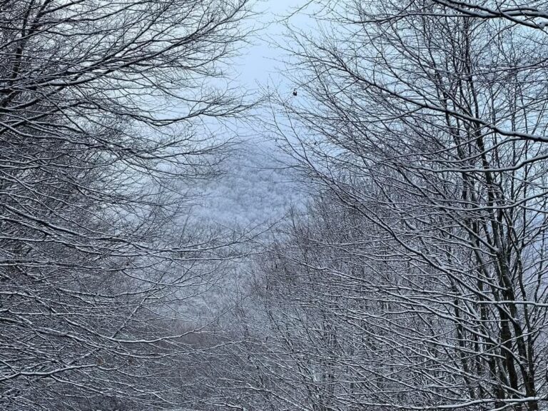 Le vette dei monti d’Avella ricoperte di neve e calabrosa viste stamani dall’Oasi di Pannarano
