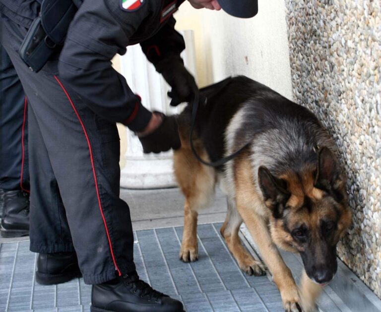 Lioni, resistenza e lesioni ai Carabinieri: condannato a sei mesi e rimesso in libertà
