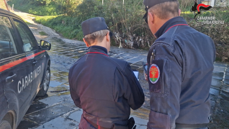 Distruzione e deturpamento di bellezze naturali: i Carabinieri denunciano tre persone