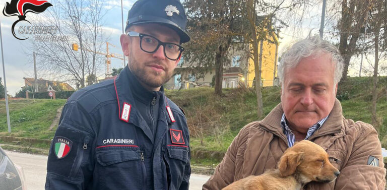 I Carabinieri Forestali salvano un cane in evidente stato di abbandono