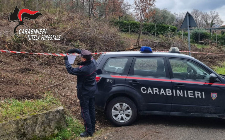 Distruzione e deturpamento di bellezze naturali: denunciata la proprietaria del terreno