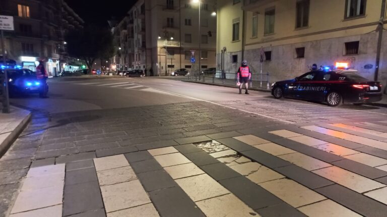 I Carabinieri denunciano un 55enne per Falsità materiale e sequestrano un furgone con targa falsa