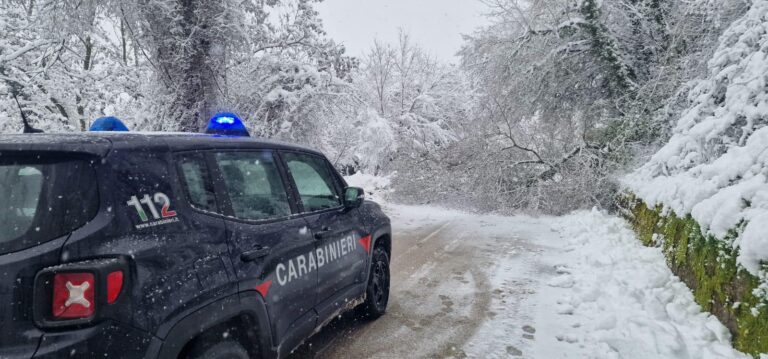 Alberi caduti sulla SP 129 bloccano la viabilità: intervento in corso per la rimozione