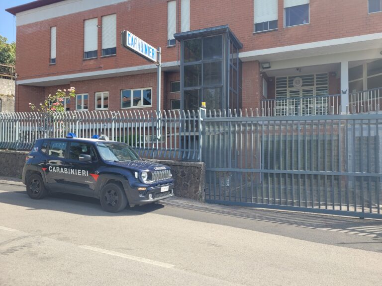 Trattore a prezzo conveniente, ma è una truffa. I carabinieri denunciano due persone