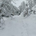 Andretta Neve