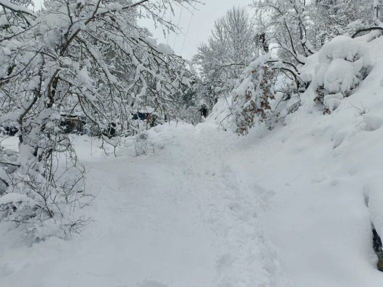 Torna “La Niña”: sarà un inverno rigido con nevicate abbondanti