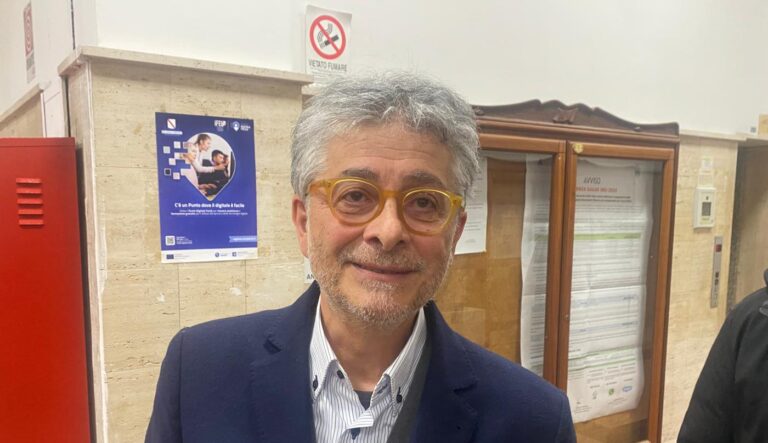 De Simone: “Festa? Anche il Pd ha capi politici”