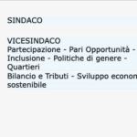 Giunta mini