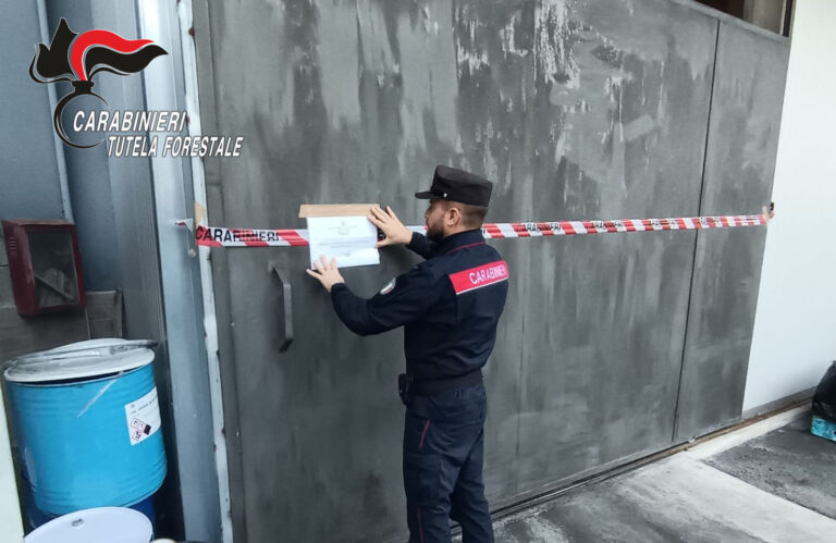 Inquinamento fiume Sarno: sequestrata un’azienda, titolare denunciato