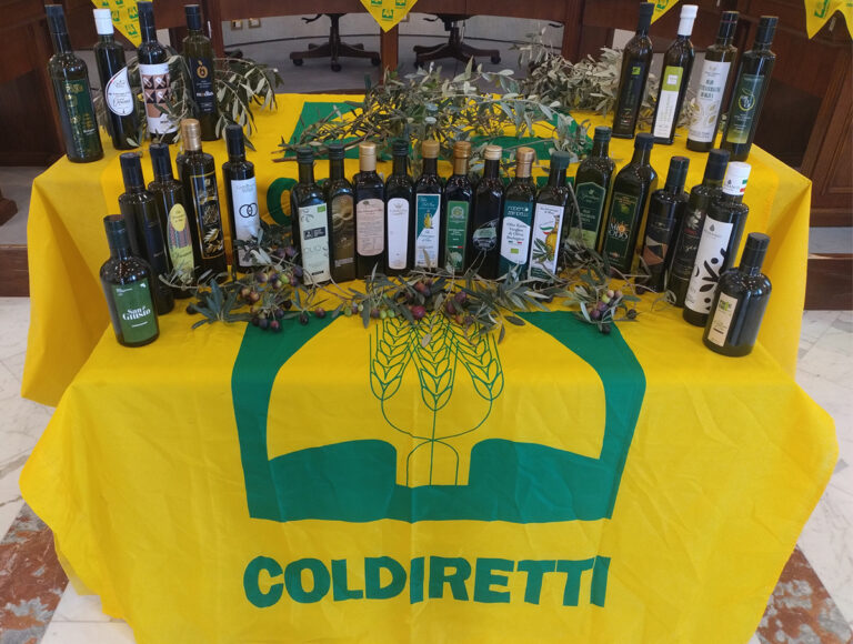 L’olio della Campania punta in alto: presentato il piano olivicolo regionale