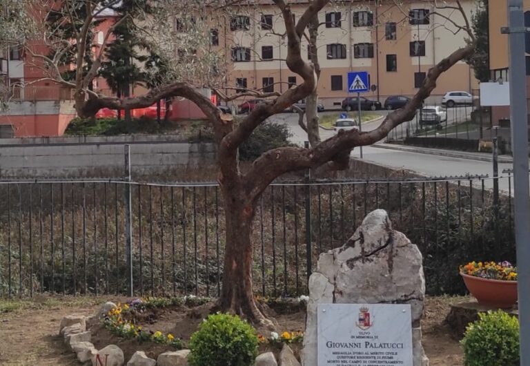VIDEO/ Un ulivo in Questura nel ricordo di Giovanni Palatucci