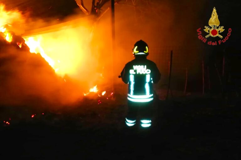 Inferno di fuoco nel capannone di un’azienda agricola: morti diversi ovini