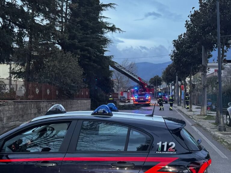 Lauro, il forte vento fa crollare grosso albero sulla statale 403