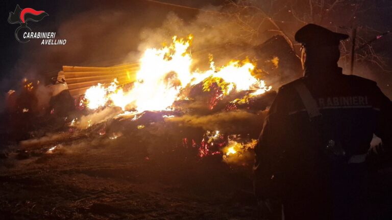 Incendio in un’azienda agricola ad Andretta