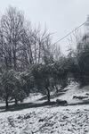 pietrastornina