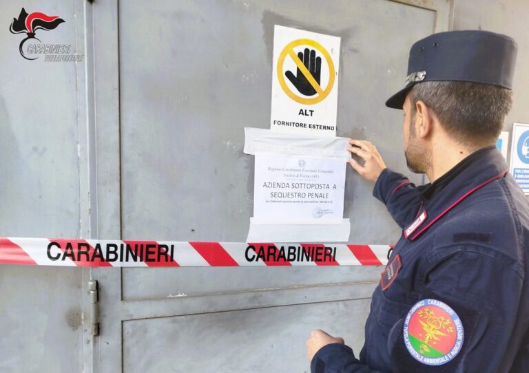 I Carabinieri sequestrano un’azienda e denunciano il titolare per violazioni ambientali