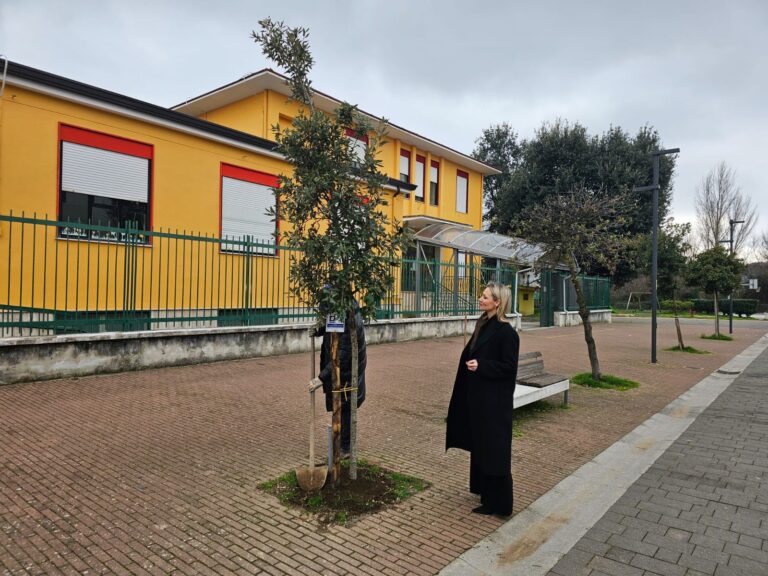 “Un albero per abitante”, il Comune ha piantumato 84  nuovi esemplari in tutta la città
