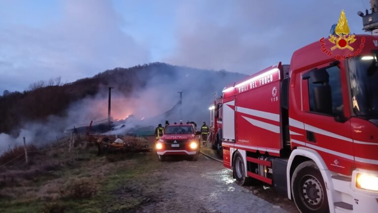 Incendio deposito agricolo a Morra De Sanctis, le immagini dei Vigili del Fuoco