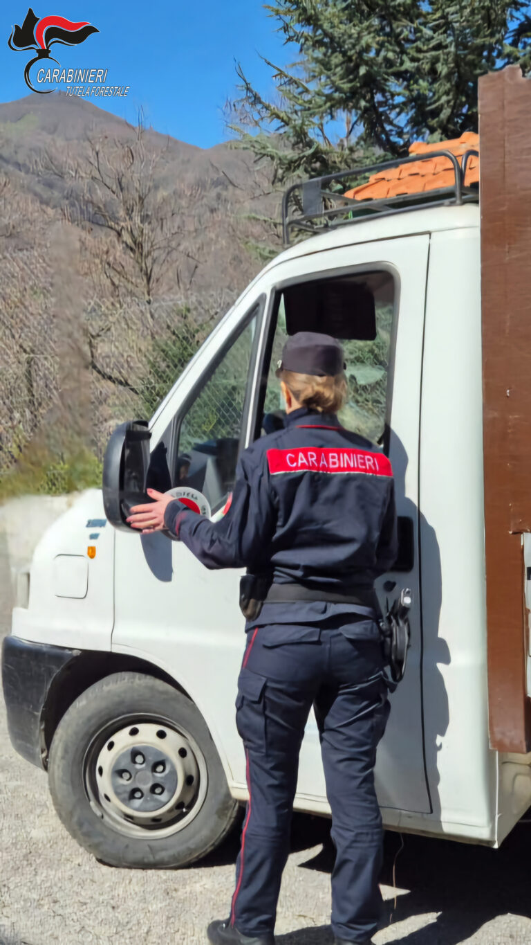 I Carabinieri sequestrano un autocarro carico di rifiuti. Denunciato un 40 enne rumeno