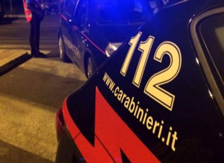 I Carabinieri scoprono la finta vendita di un cucciolo on line