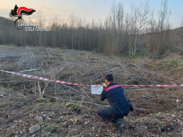 Ariano, i Carabinieri sequestrano un’area boschiva di 4.000 mq