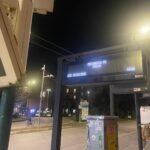 Paline digitali