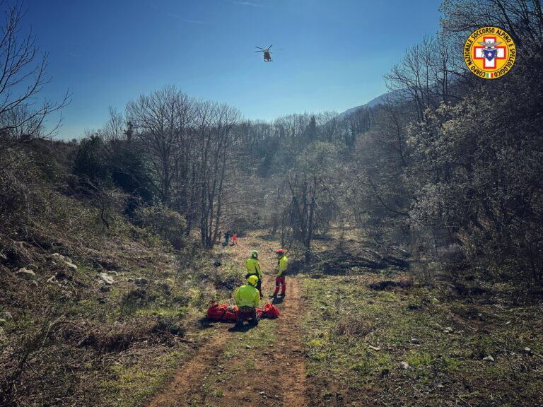 Colpito alla testa da un grosso ramo: soccorso in elicottero