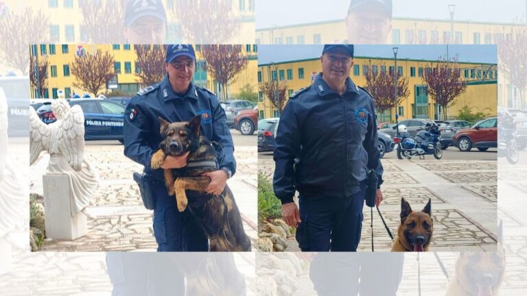 Spike e Masaniello, i due poliziotti  a quattro zampe terrore di chi porta droga in carcere
