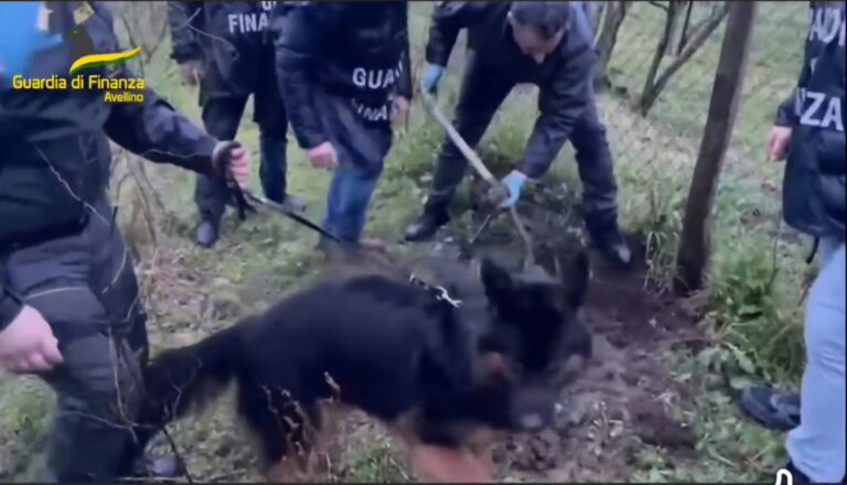 Cocaina e hashish nascosti nella botola: convalidato l’arresto eseguito dalla Gdf