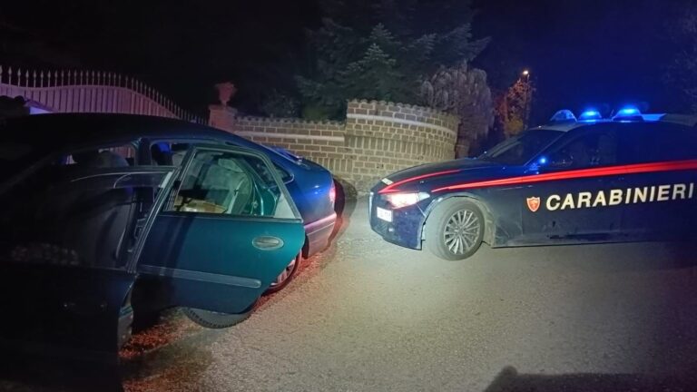 Contrasto ai reati predatori: i Carabinieri sventano due furti