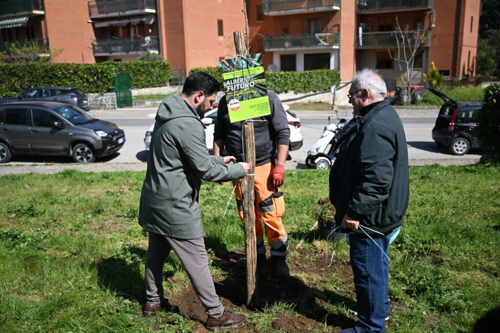 Sciscio