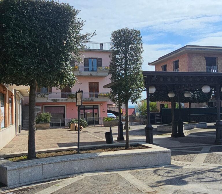 Interventi sul verde pubblico: iniziata la piantumazione di 80 alberi