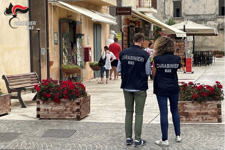 Controlli dei Carabinieri del N.A.S. in strutture ricettive