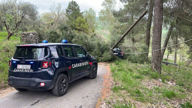 Villanova del Battista, ramo cade su un’auto in sosta: strada non percorribile