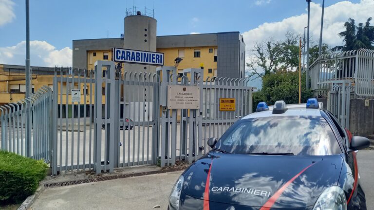 I Carabinieri accertano violazioni ambientali in un’azienda agricola