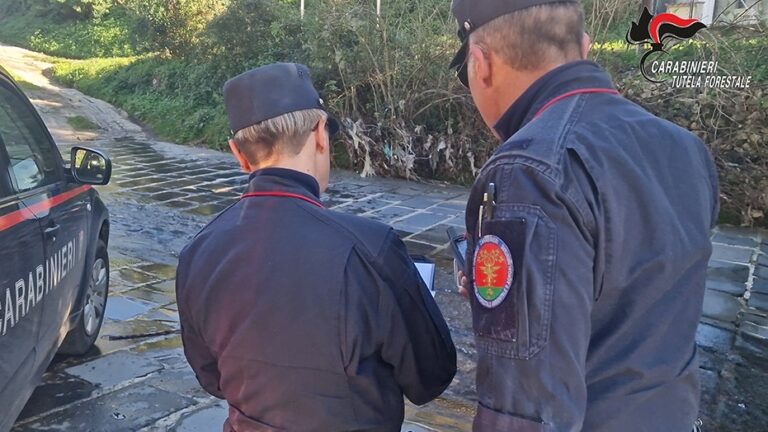 Scarico illecito di acque reflue industriali: commerciante denunciato dai Carabinieri