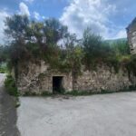 Immagine WhatsApp 2025-05-06 ore 10.14.30_d921b3e1
