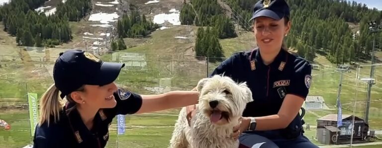 Polizia di Stato, la campagna informativa realizzata contro l’abbandono degli animali
