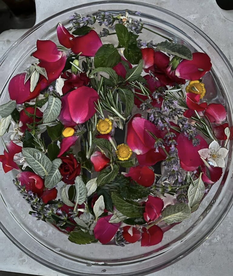 L’acqua di San Giovanni: tradizione che si rinnova