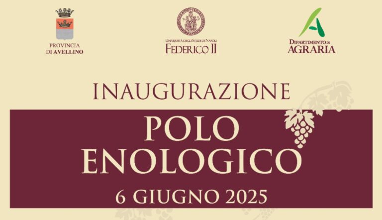 Polo Enologico