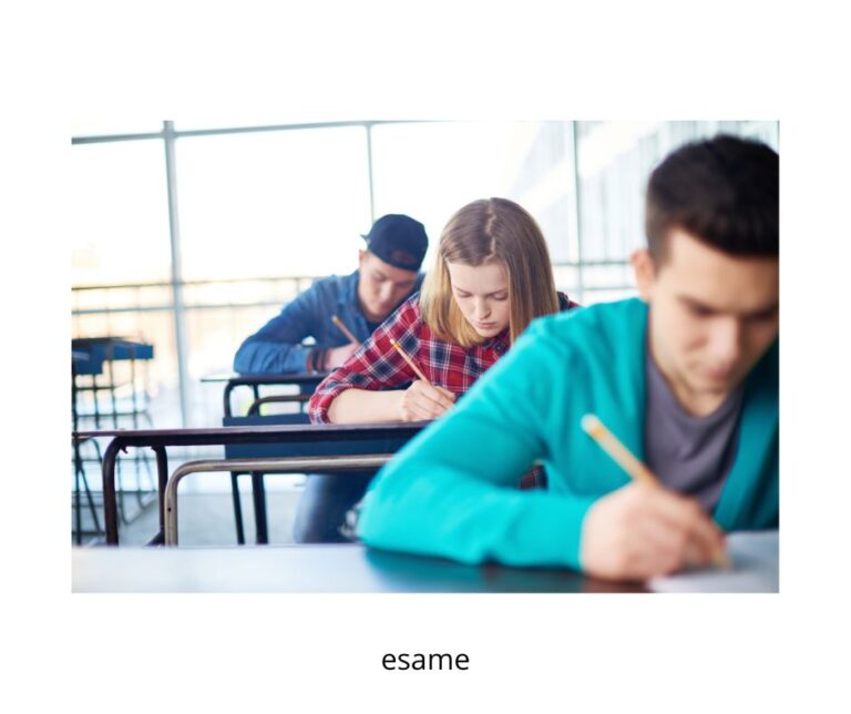 Esame di Stato 2025: domani il via con la prima prova scritta