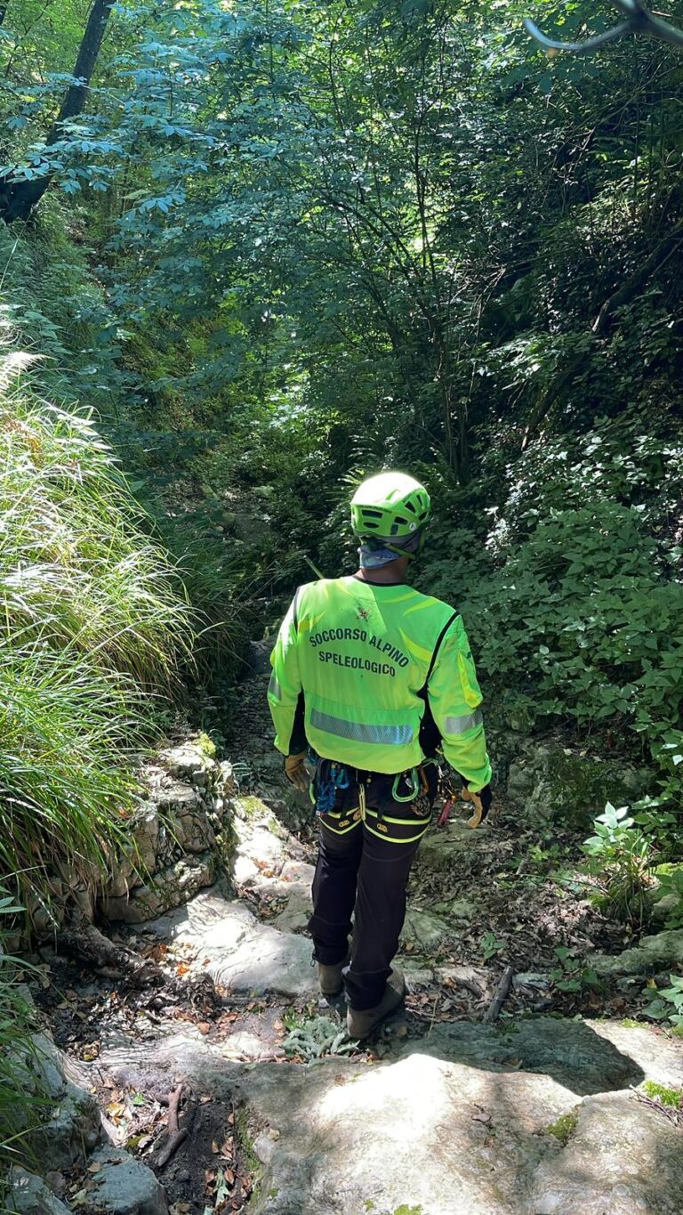 Continuano le ricerche dell’anziano scomparso a Monteforte