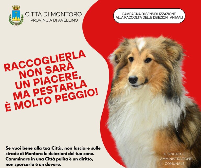 Montoro, campagna di sensibilizzazione alla raccolta delle deiezioni canine