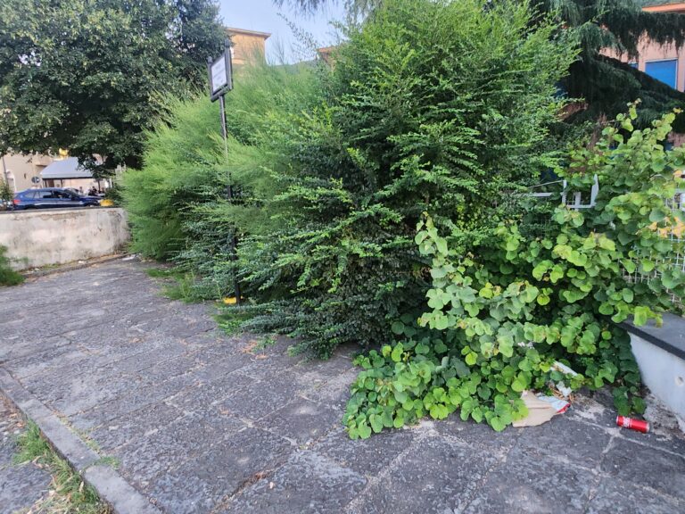 Quindici, i residenti del centro ai commissari : più decoro per la piazzetta “Santaniello”