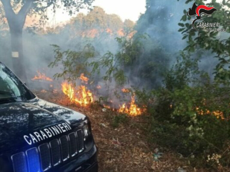 Lotta agli incendi boschivi in Irpinia: I Carabinieri intensificano i controlli