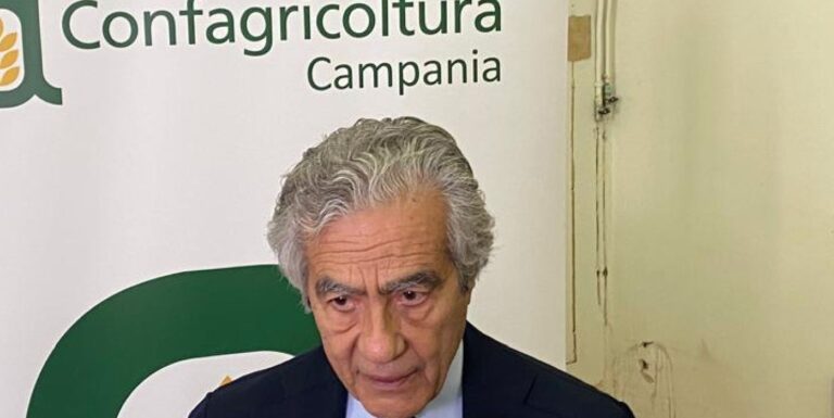 Iniziata in Campania, in anticipo, la raccolta estiva del pomodoro