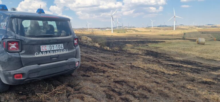Incendio ad Andretta, coinvolti 3 ettari di terreno