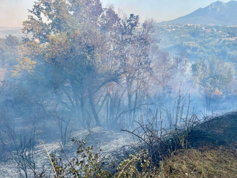 Incendio Montemiletto, individuato il piromane